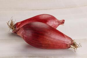 Violet raw onion for cooking photo