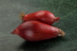 Violet raw onion for cooking photo