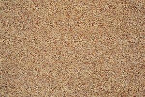 Abstract Wall Texture, Perfect Background for Your Creative Projects. photo