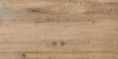 Natural Wood Texture, Seamless Plywood Background with Walnut Pattern, Top View photo