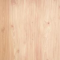 Hardwood Maple Basketball Court Close Up photo