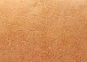 Premium Natural Vegetable Tanned Leather Texture, Close Up Macro with Top Grain and Scratch Detail photo