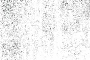 Grunge Walls, Abstract Texture Background in Distress. photo