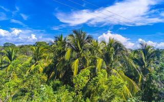 Drive past the tropical jungle mountains and countryside Mazunte Mexico. photo