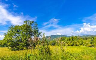 conducir pasado el tropical selva montañas y campo mazunte México. foto