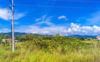 Drive past the tropical jungle mountains and countryside Mazunte Mexico. photo