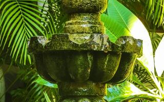 Nostalgic green fountain in the garden Puerto Escondido Mexico. photo