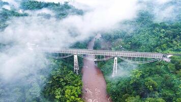 mystisk tåg bro i de mitten av förtjusande skog och dimma video