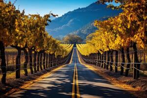 AI generated A road through a picturesque vineyard. Generative AI photo