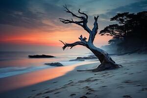 AI generated The calmness of a serene beach at dawn. Generative AI photo