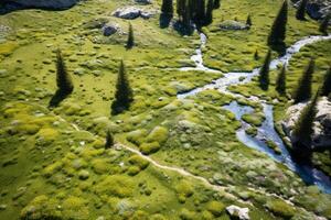 AI generated Aerial shot of a pristine alpine meadow with wildflowers in bloom. Generative AI photo