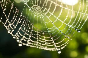 AI generated A close up reflection of a dew covered spiderweb in the morning light. Generative AI photo
