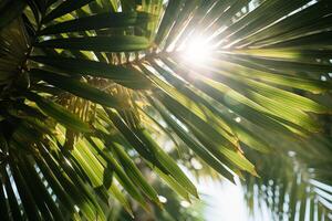 ai generado luz de sol filtración mediante palma frondas en el tarde. generativo ai foto