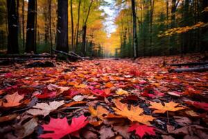 AI generated Lush and vibrant forest floor covered in a colorful carpet of fallen leaves. Generative AI photo