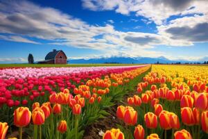 AI generated Vibrant tulip fields creating a stunning display of color in spring. Generative AI photo