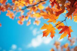 AI generated Vibrant autumn leaves against a blue sky backdrop. Generative AI photo