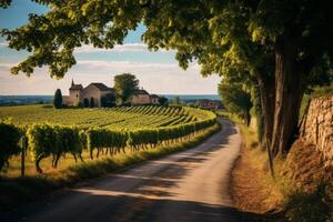 ai generado un la carretera mediante un pintoresco viñedo en rural. generativo ai foto