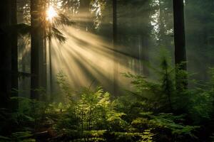AI generated Sunbeams breaking through thick evergreen foliage. Generative AI photo