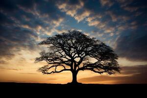 ai generado el silueta de un árbol en contra el tarde cielo. generativo ai foto