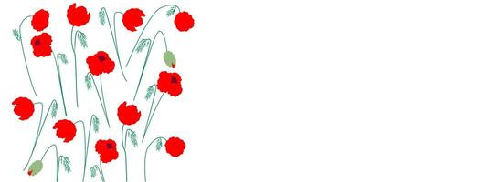 Abstract background with flowers, red poppies. Vector illustration