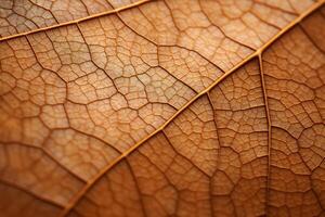 AI generated An extreme close-up of the texture of a leaf's surface. Generative AI photo