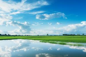 AI generated Paddy fields reflecting the blue sky in still waters, creating a serene composition. Generative AI photo