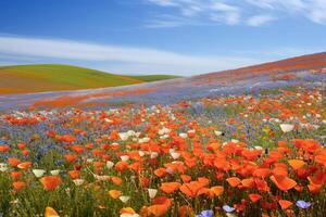 AI generated Vast fields of wildflowers adding color to a pristine natural landscape. Generative AI photo