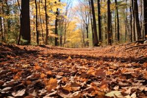 AI generated Fallen leaves on a path through the woods. Generative AI photo