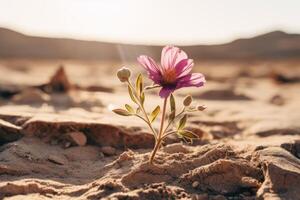 AI generated A close up of a flower blooming in a barren desert, symbolizing resilience and hope. Generative AI photo