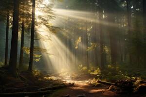 AI generated A scenic view of light streaming through misty forests, creating a dreamlike atmosphere. Generative AI photo