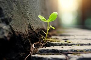 AI generated A close up of a sprout emerging from a crack in a stone wall, representing resilience. Generative AI photo