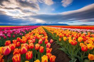 AI generated The vibrant colors of a field of tulips. Generative AI photo
