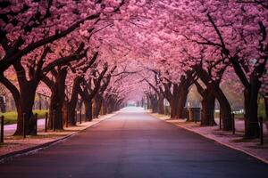 ai generado un la carretera rodeado por Cereza florecer arboles en lleno floración. generativo ai foto