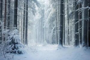 ai generado el tranquilo belleza de un nieve cubierto bosque. generativo ai foto