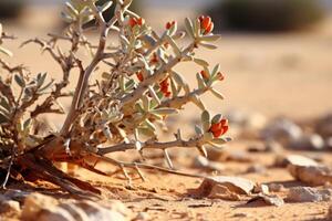 AI generated A close up of a resilient desert plant thriving in extreme conditions. Generative AI photo