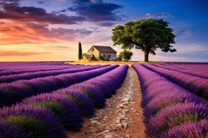 AI generated A winding road through a serene lavender field in sunset. Generative AI photo