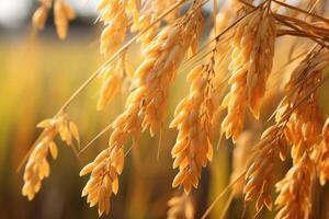 ai generado cerca arriba de maduro arroz granos balanceo suavemente en un vibrante arrozal campo. generativo ai foto