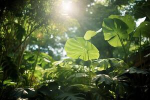 ai generado luz de sol filtración mediante hojas en un botánico jardín. generativo ai foto