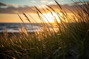 AI generated Sunlight streaming through beach grass. Generative AI photo