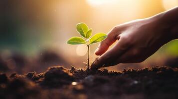AI generated Close-up of a person's hand planting a seedling. Generative AI photo