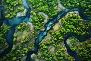 AI generated Aerial view of a meandering river cutting through lush landscapes. Generative AI photo