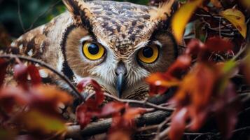 ai generado un cerca arriba de un búho en un árbol. generativo ai foto