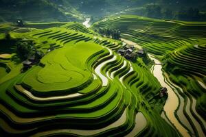 AI generated Aerial shot capturing the symmetrical beauty of terraced paddy field formations. Generative AI photo