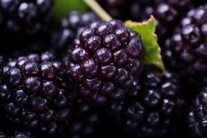 AI generated A close-up of succulent blackberries. Generative AI photo