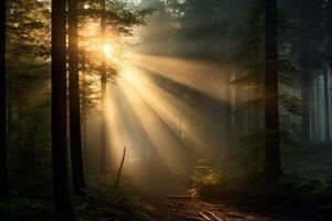 AI generated Sunlight breaking through the forest mist in a captivating way. Generative AI photo