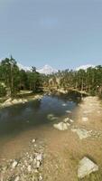 An aerial view of a river running through a forest video