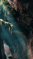 A stunning cave illuminated by volumetric light, showcasing a lush landscape video