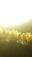 Sunlight streaming through trees in a mountain landscape video