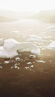 Ice chunks floating on water surface video