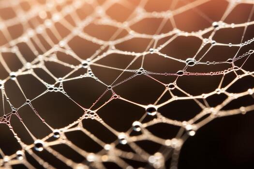 AI generated An extreme close-up of the delicate filigree of a spider's web. Generative AI photo